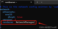 在Linux系统上使用nmcli命令配置各种网络的操作方法(有线、无线、vlan、vxlan、路由、网桥等)