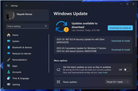 谨慎安装! Win11三月累积更新导致安装错误/系统崩溃/远程连接失败等问题