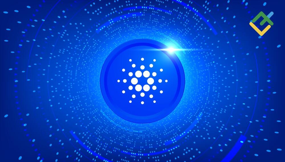 litefinance: 10. 莱特币 (ltc)