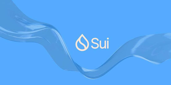 sui币有价值吗？sui币前景究竟如何