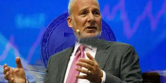 态度转弯还是另有阴谋？peter schiff宣布建立个人比特币储备