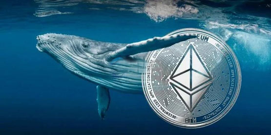 50倍做多eth巨鲸主动爆仓却赚取了近200万美元！hyperliquid损失400万