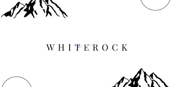 coinbase点燃股票代币化热潮！链上买美股平台whiterock原生代币white暴涨