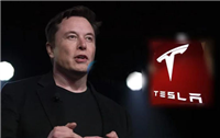 一文了解马斯克:加入DOGE后经营Tesla极度困难!特斯拉重挫15%