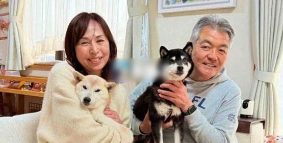 doge主人推官方柴犬币cocoro、市值破亿后腰斩！社群：meme币市场没救了