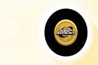 什么是SPX6900 ($SPX)?定义和功能