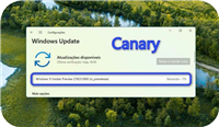 Win11 Canary 27823 预览版发布: 件概览卡片如何助力用户体验提升?