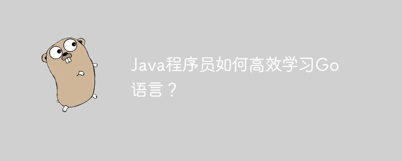 java程序员如何高效学习go语言？