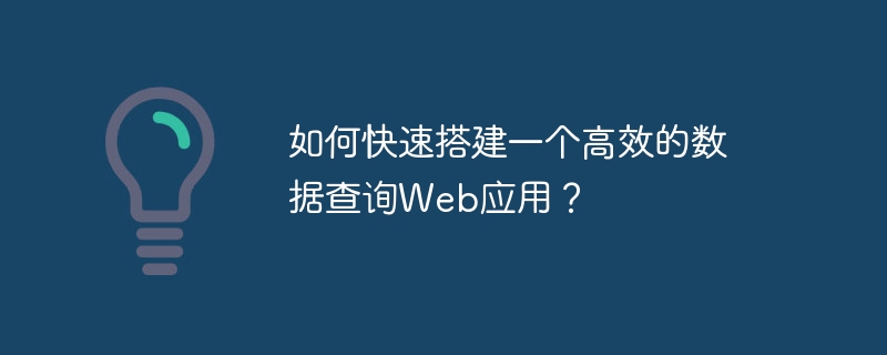 如何快速搭建一个高效的数据查询web应用？