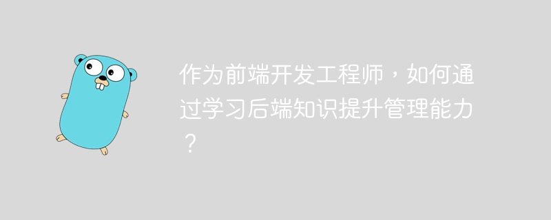 作为前端开发工程师，如何通过学习后端知识提升管理能力？