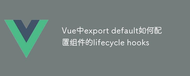 vue中export default如何配置组件的lifecycle hooks