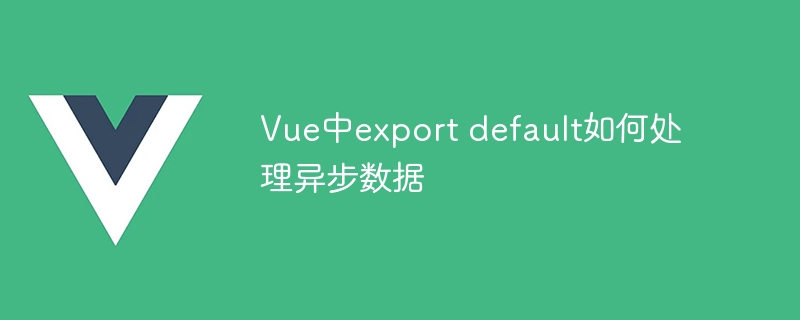 vue中export default如何处理异步数据