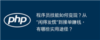 程序员技能如何变现?从“闲得发慌”到接单赚钱,有哪些实用途径?
