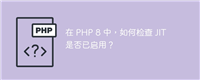 在 PHP 8 中,如何检查 JIT 是否已启用?