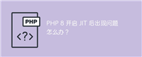 PHP 8 开启 JIT 后出现问题怎么办?