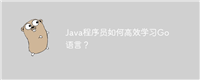 Java程序员如何高效学习Go语言?