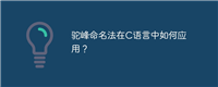 驼峰命名法在C语言中如何应用?