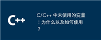 C/C++ 中未使用的变量:为什么以及如何使用?