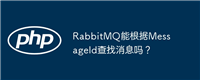RabbitMQ能根据MessageId查找消息吗?