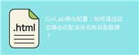 GitLab路由配置:如何通过动态路由匹配项目名称获取数据?