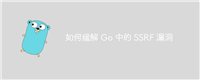 如何缓解 Go 中的 SSRF 漏洞