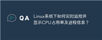 Linux系统下如何实时监控并显示CPU占用率及进程信息?