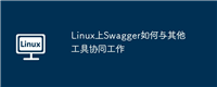 Linux上Swagger如何与其他工具协同工作