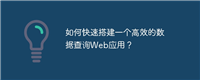 如何快速搭建一个高效的数据查询Web应用？
