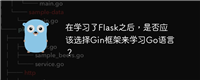 在学习了Flask之后，是否应该选择Gin框架来学习Go语言？