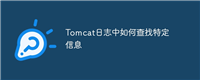 Tomcat日志中如何查找特定信息