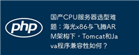 国产CPU服务器选型难题:海光x86与飞腾ARM架构下,Tomcat和Java程序兼容性如何?