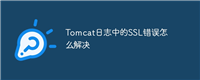 Tomcat日志中的SSL错误怎么解决