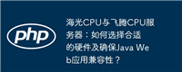 海光CPU与飞腾CPU服务器:如何选择合适的硬件及确保Java Web应用兼容性?