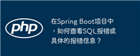 在Spring Boot项目中，如何查看SQL报错或具体的报错信息？