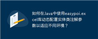 如何在Java中使用easypoi.excel库动态配置实体类注解参数以适应不同环境？