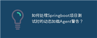 如何处理Springboot项目测试时的动态加载Agent警告？