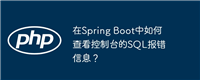 在Spring Boot中如何查看控制台的SQL报错信息？