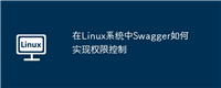 在Linux系统中Swagger如何实现权限控制