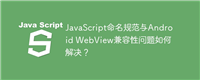 JavaScript命名规范与Android WebView兼容性问题如何解决？