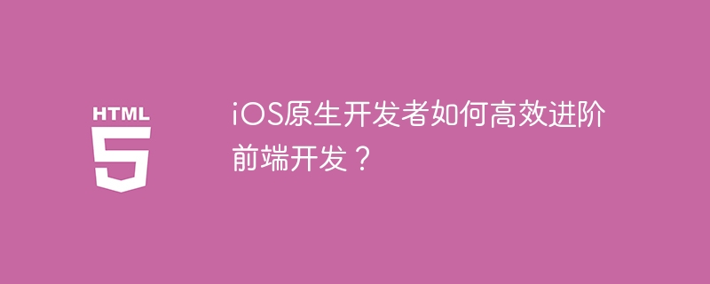 ios原生开发者如何高效进阶前端开发？
