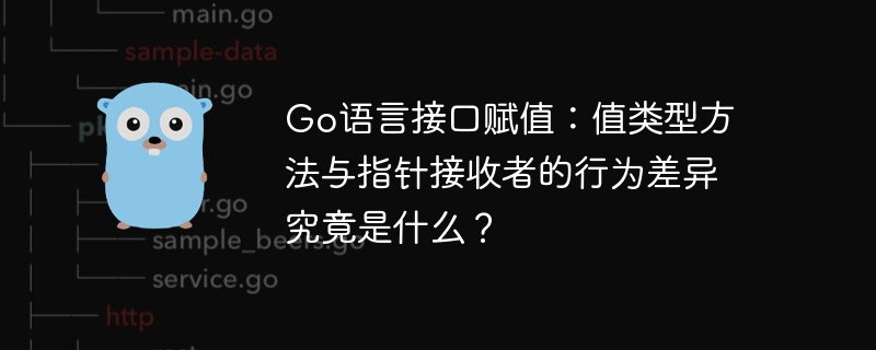 go语言接口赋值：值类型方法与指针接收者的行为差异究竟是什么？