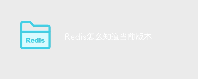 redis怎么知道当前版本