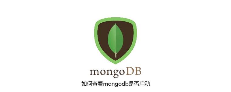 mongodb索引优化策略，加速查询性能