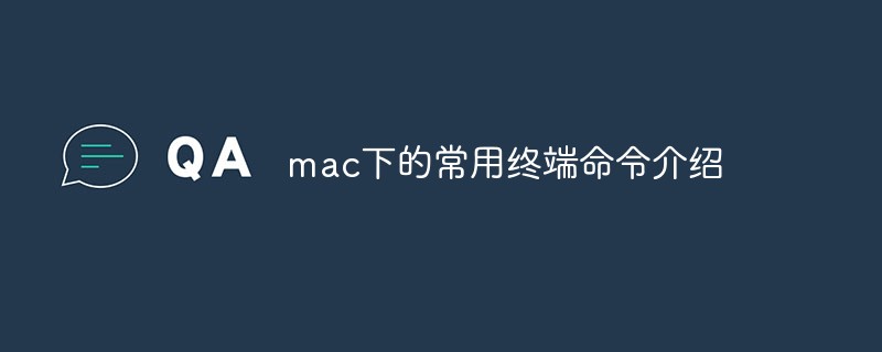 mac下的常用终端命令介绍