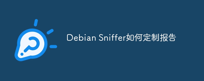 debian sniffer如何定制报告