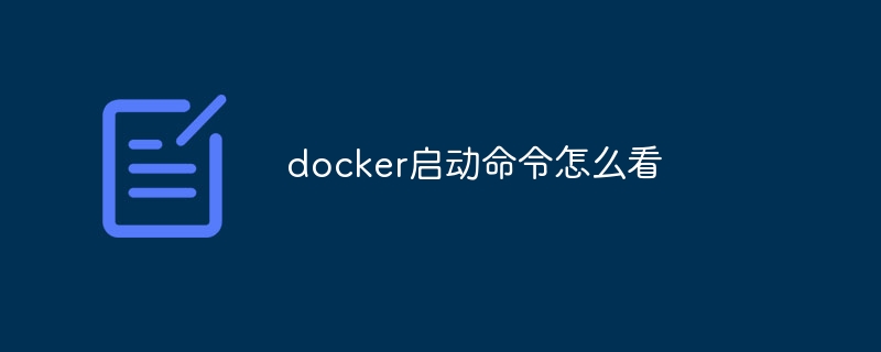 docker启动命令怎么看