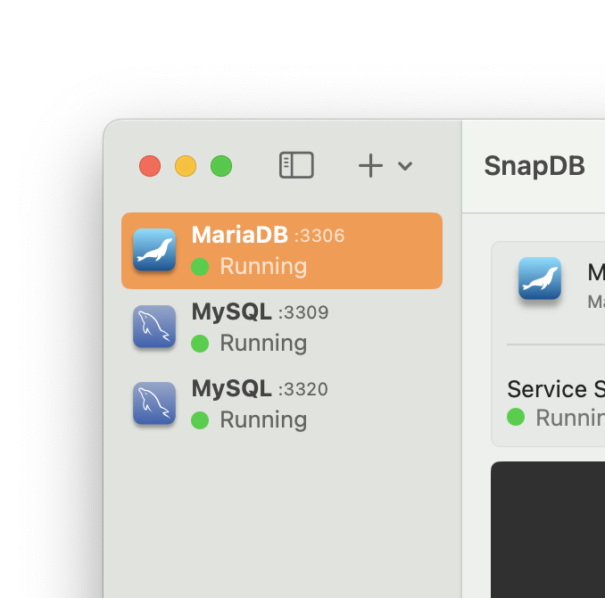 two mysql instances running using snapdb