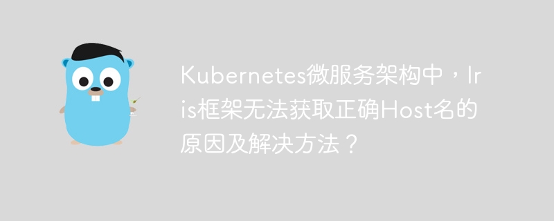 kubernetes微服务架构中，iris框架无法获取正确host名的原因及解决方法？

