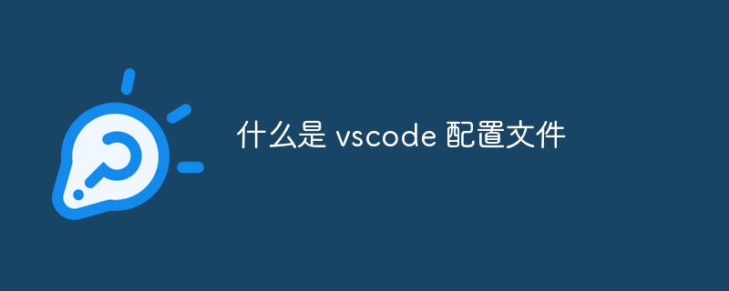 什么是 vscode 配置文件