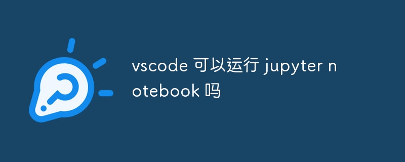 vscode 可以运行 jupyter notebook 吗